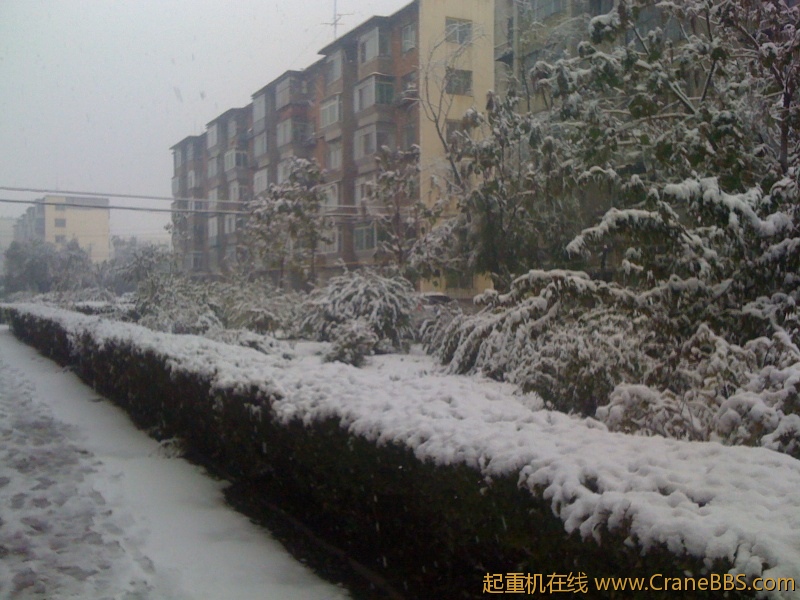 手机照片 515.jpg