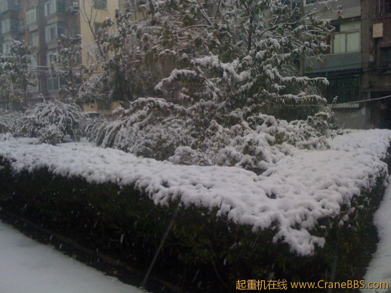 手机照片 518.jpg