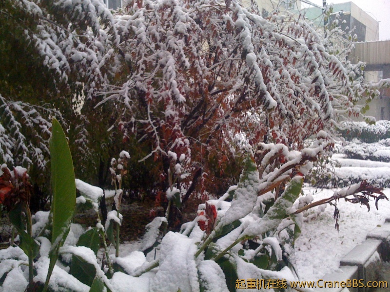 手机照片 519.jpg