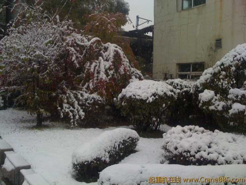 手机照片 507.jpg