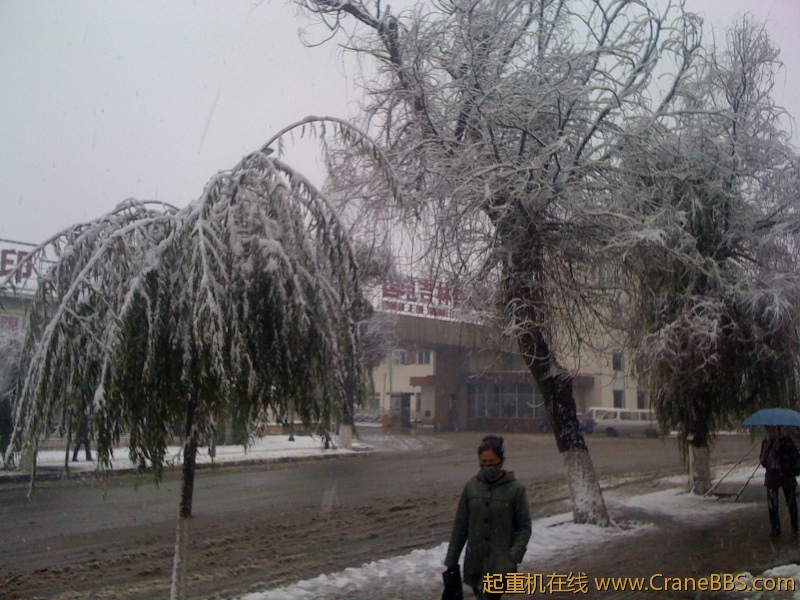 手机照片 514.jpg