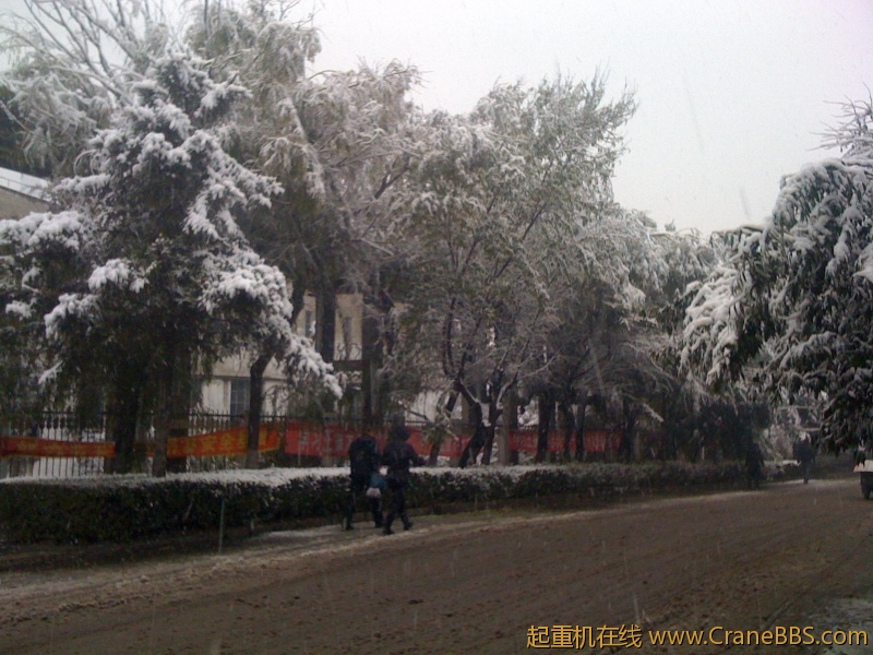 手机照片 523.jpg