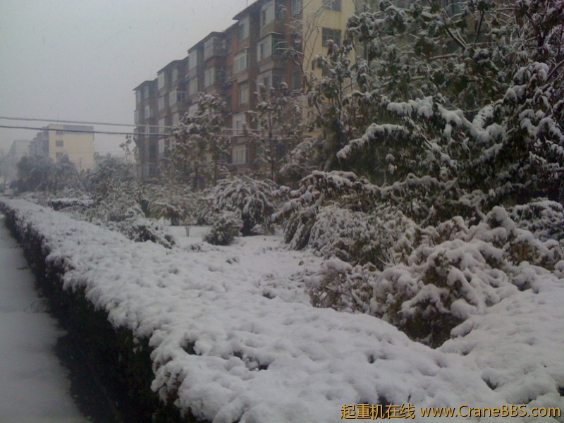 手机照片 524.jpg