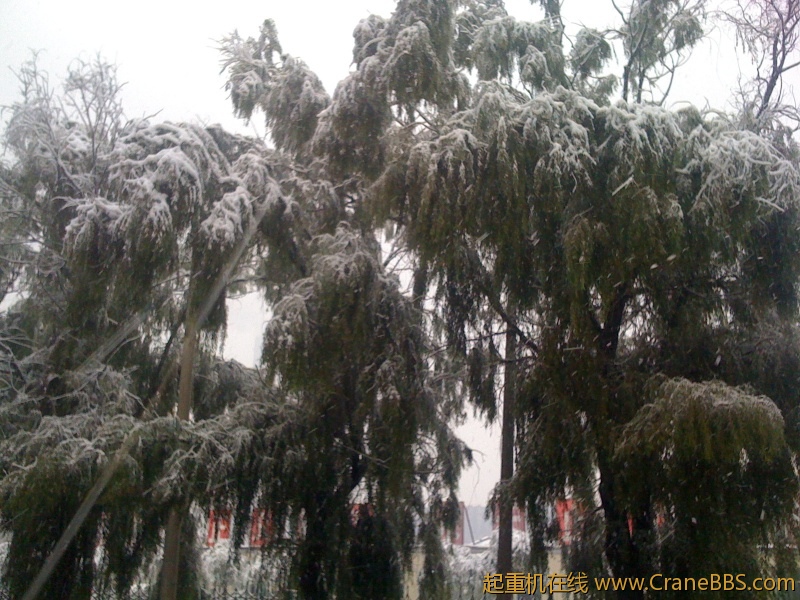 手机照片 525.jpg