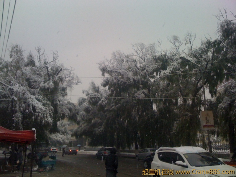 手机照片 526.jpg