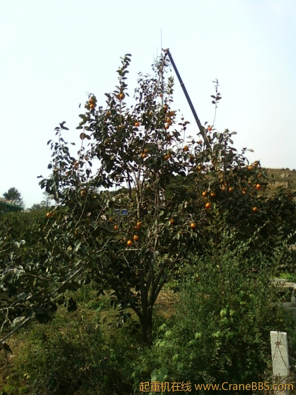 照片-0030.jpg