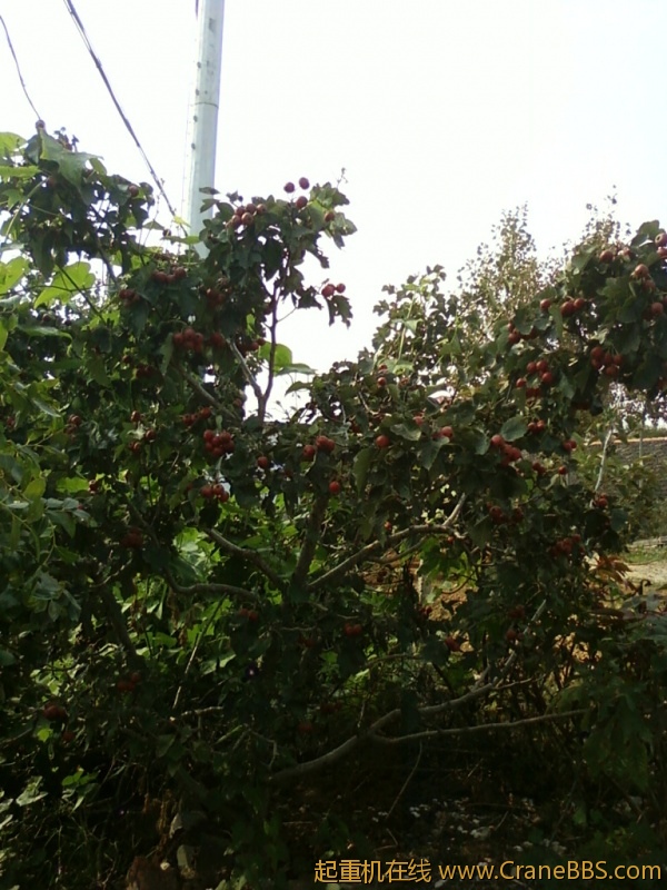 照片-0024.jpg