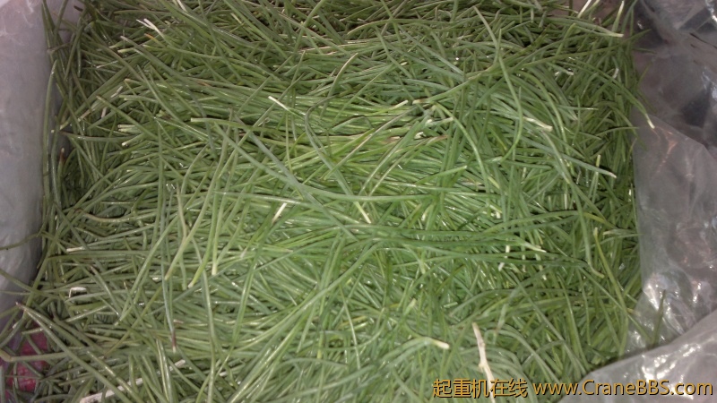 2012-10-15-7274.jpg
