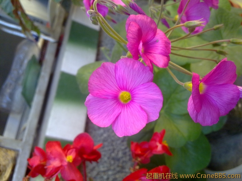 201210181012.jpg