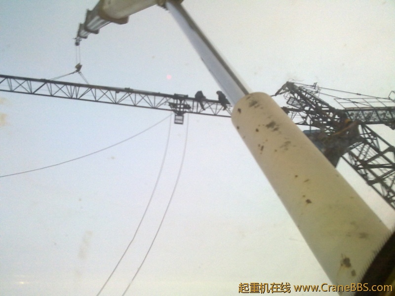 20121008994.jpg