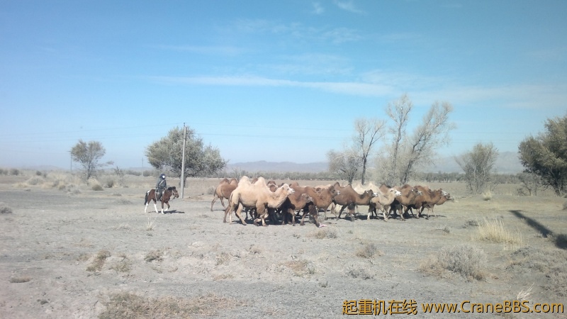 2012-10-23-7442.jpg