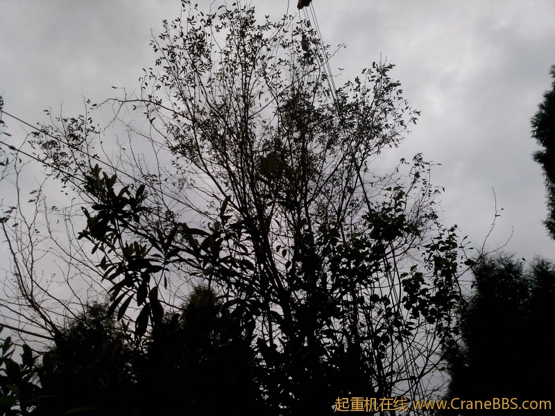 IMG_20121022_170243.jpg