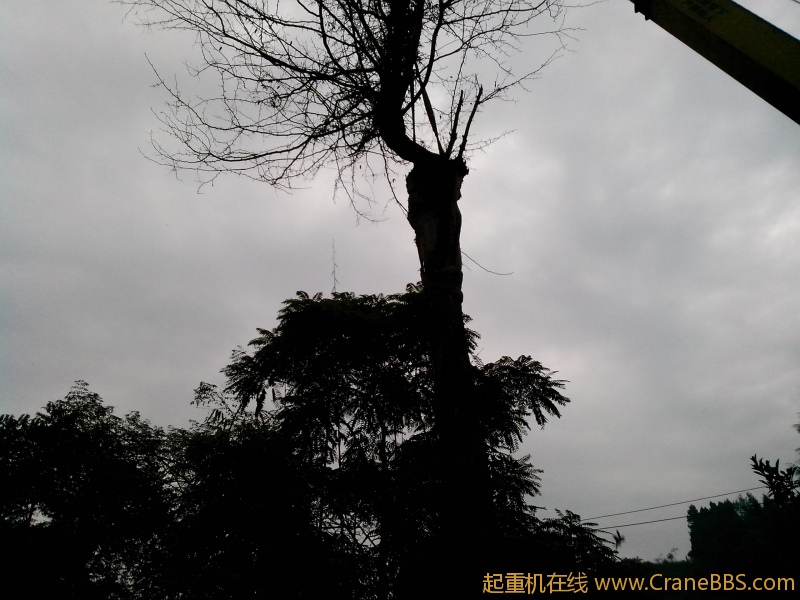 IMG_20121022_172925.jpg