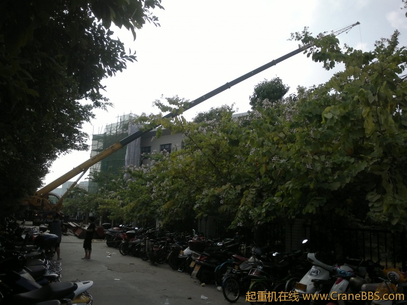 20121025351.jpg