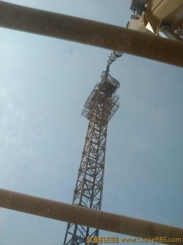 IMG_20121012_115329_1.jpg