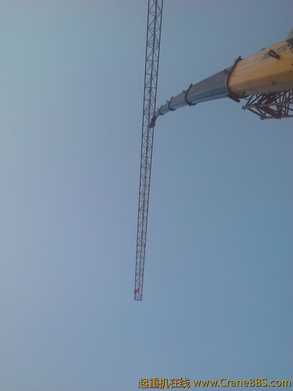 IMG_20121020_161312_1.jpg
