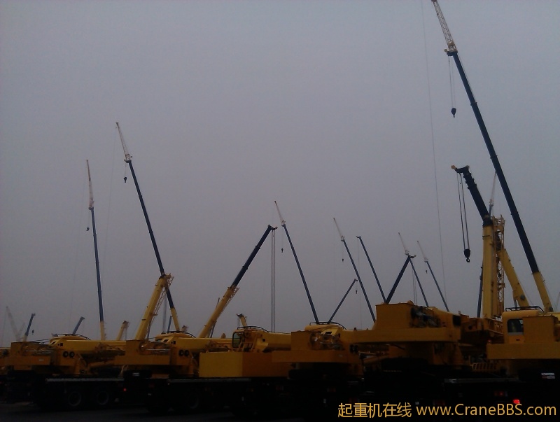 IMAG0167.jpg