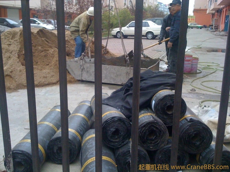 手机照片 686.jpg