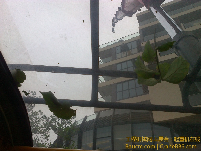 20121221219.jpg