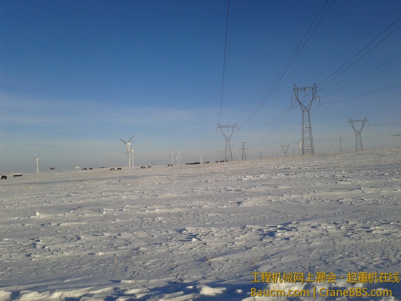 20121124_083709.jpg