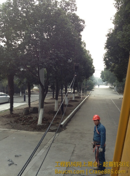 nEO_IMG_毛毛 327.jpg