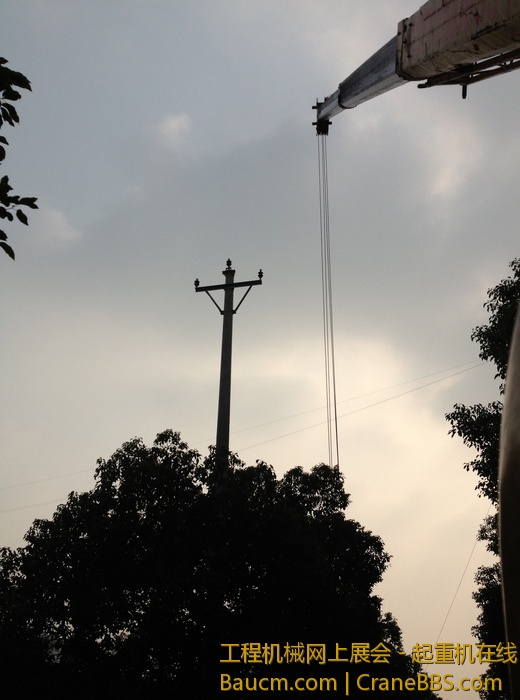 nEO_IMG_毛毛 328.jpg