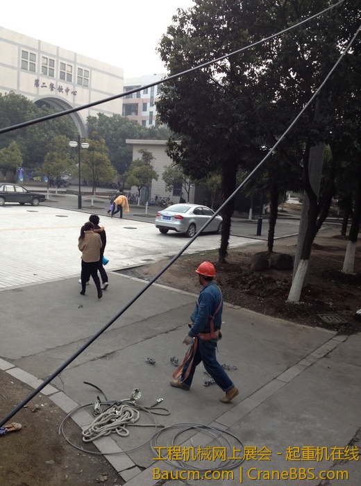 nEO_IMG_毛毛 329.jpg