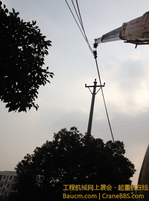 nEO_IMG_毛毛 330.jpg