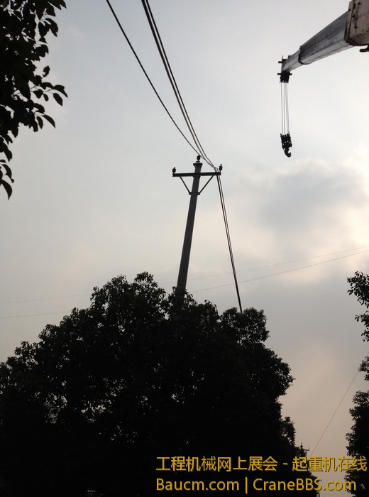 nEO_IMG_毛毛 331.jpg