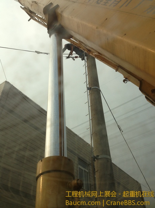 nEO_IMG_毛毛 343.jpg