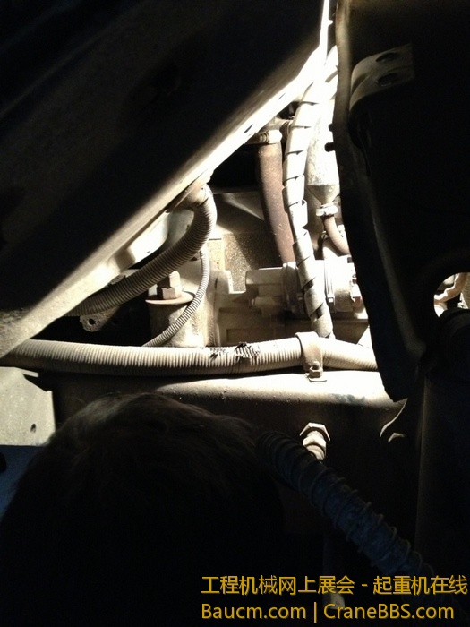 nEO_IMG_毛毛 345.jpg