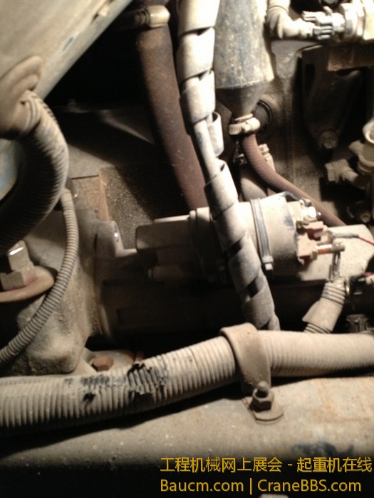 nEO_IMG_毛毛 346.jpg