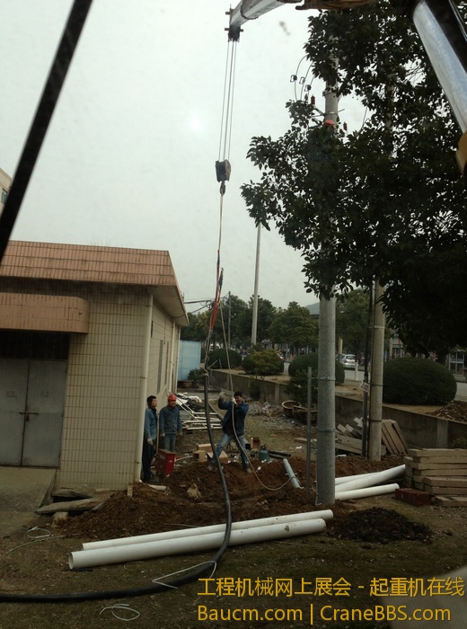 nEO_IMG_毛毛 337.jpg