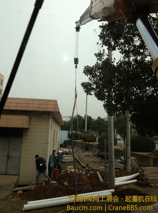 nEO_IMG_毛毛 338.jpg