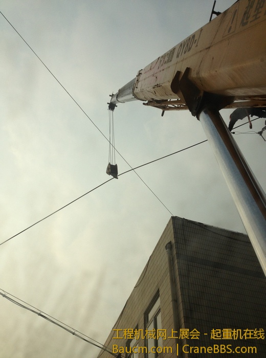 nEO_IMG_毛毛 340.jpg