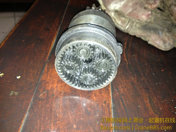 nEO_IMG_毛毛 352.jpg