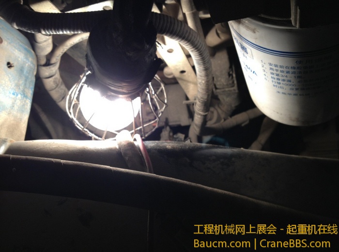 nEO_IMG_毛毛 347.jpg