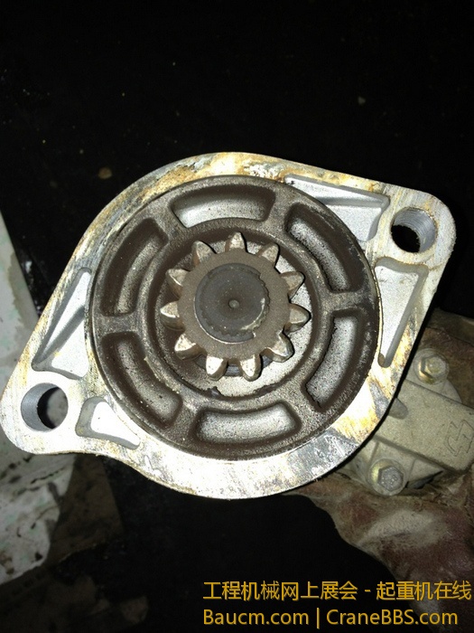 nEO_IMG_毛毛 348.jpg