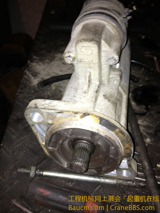 nEO_IMG_毛毛 350.jpg