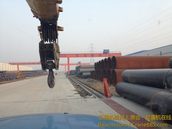 nEO_IMG_毛毛 365.jpg