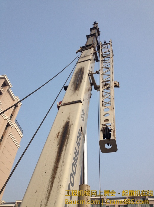 nEO_IMG_毛毛 431.jpg