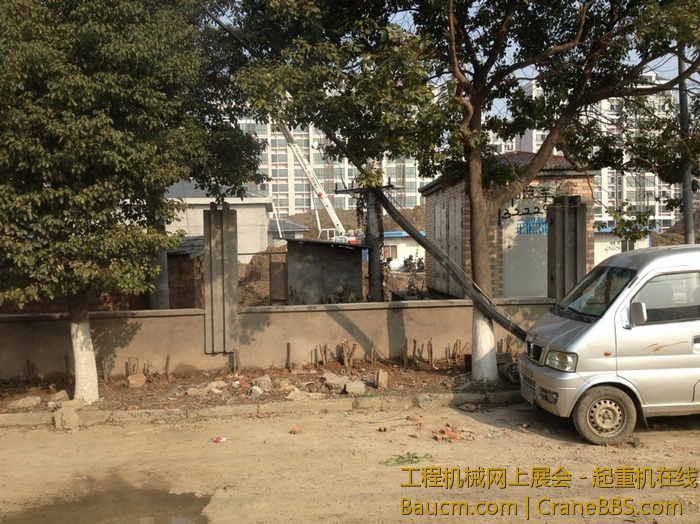 nEO_IMG_毛毛 440.jpg