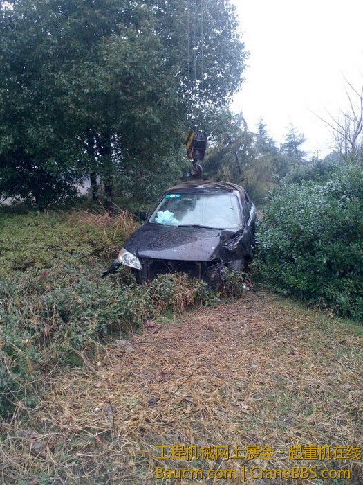 nEO_IMG_毛毛 469.jpg