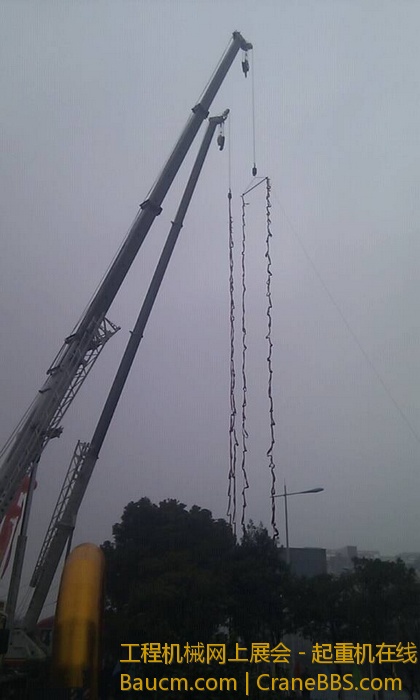 nEO_IMG_毛毛 502.jpg