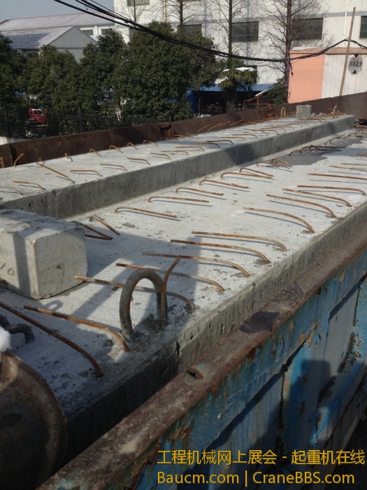 nEO_IMG_毛毛 534.jpg