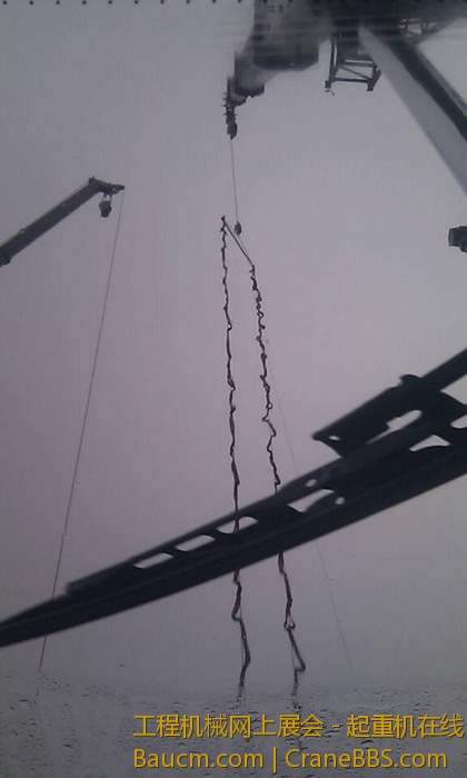 nEO_IMG_毛毛 498.jpg