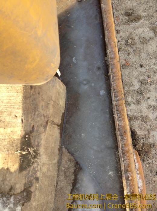 nEO_IMG_毛毛 544.jpg