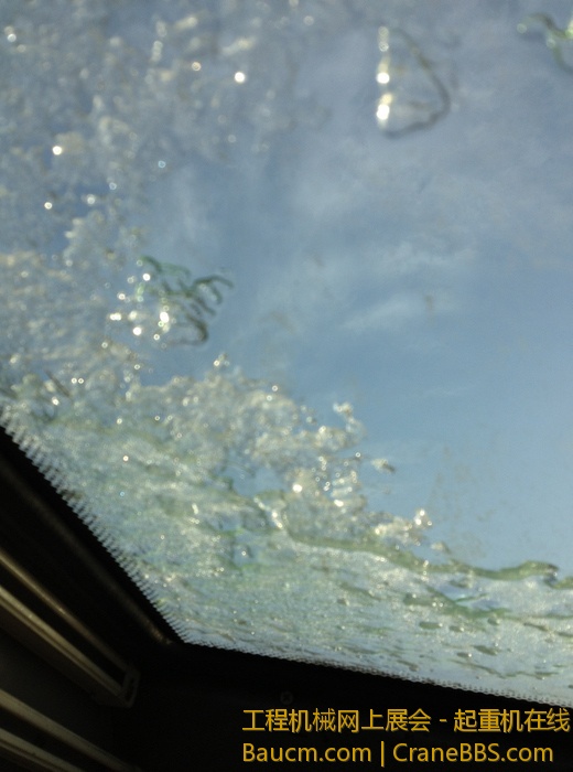 nEO_IMG_毛毛 546.jpg