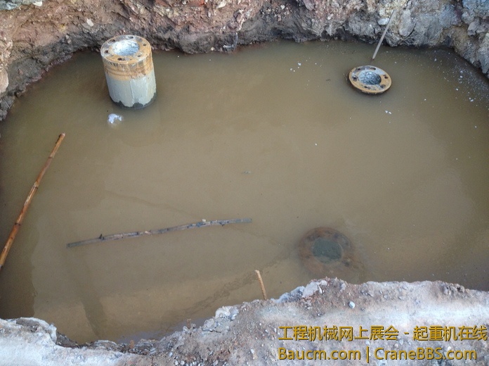 nEO_IMG_毛毛 556.jpg