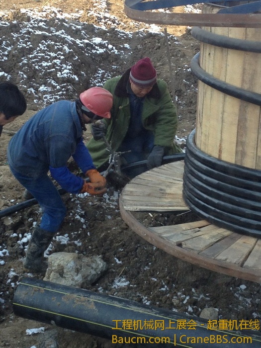 nEO_IMG_毛毛 580.jpg